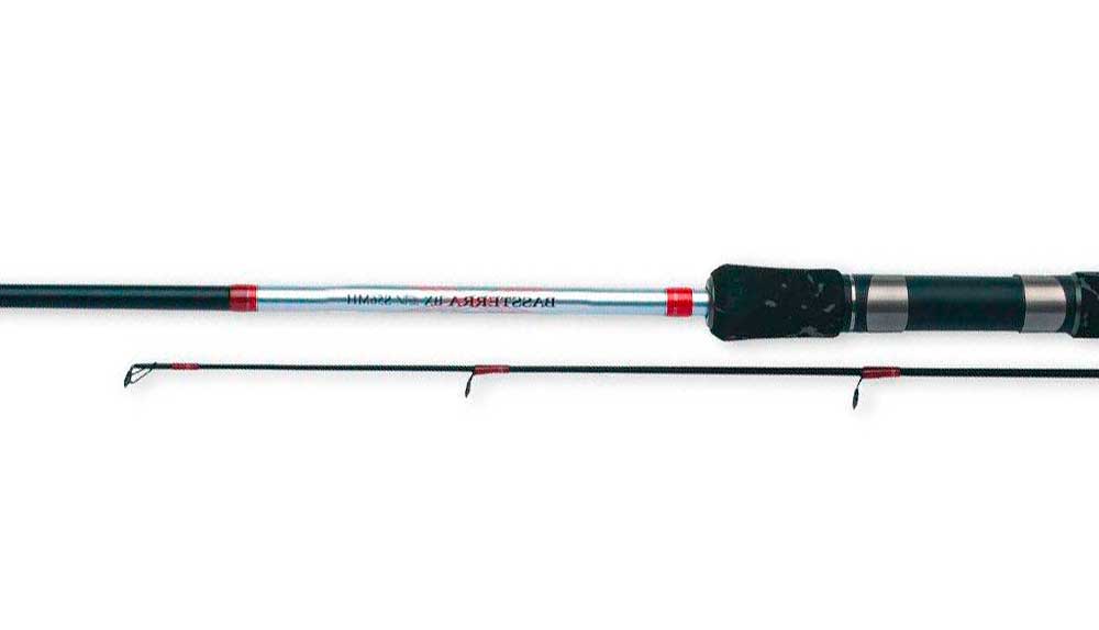 картинка Спиннинг Shimano BASSTERRA BX EV от магазина Fisherman Market