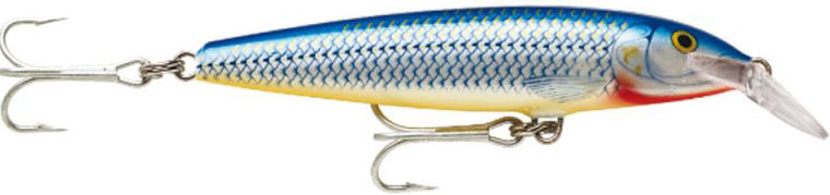 картинка Воблер RAPALA Floating Magnum от магазина Fisherman Market