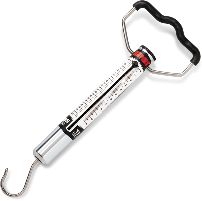 картинка Безмен Rapala RMWS-50 (25 кг) от магазина Fisherman Market