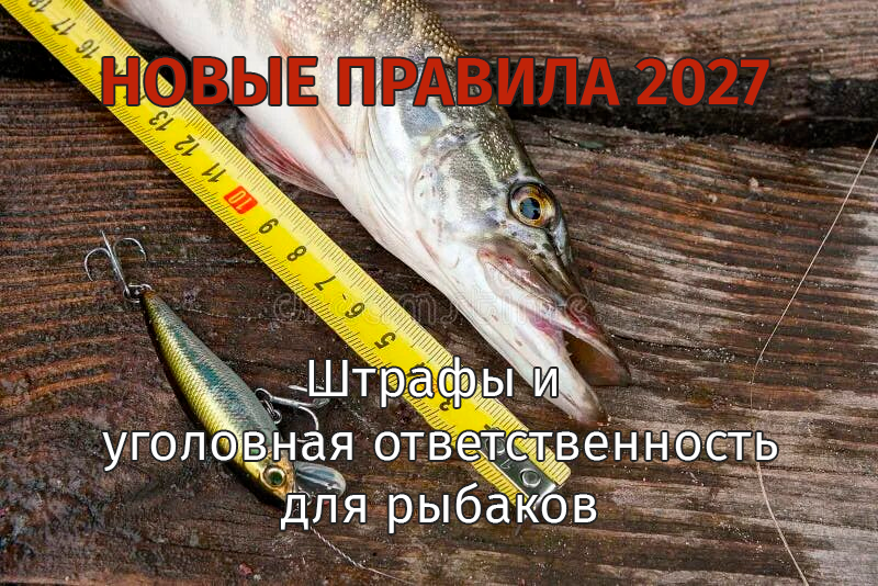 С 1 марта 2027 года — новые правила для рыболовов Западной Сибири