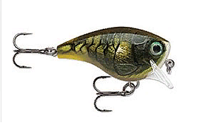 картинка Воблер RAPALA BX BRAT от магазина Fisherman Market