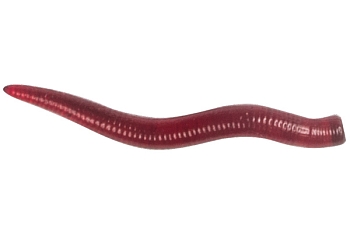 картинка Мягкие приманки LureMax Curly Worm от магазина Fisherman Market